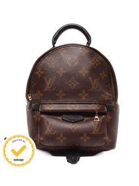 Louis Vuitton Backpack Palm Springs Mini Monogram